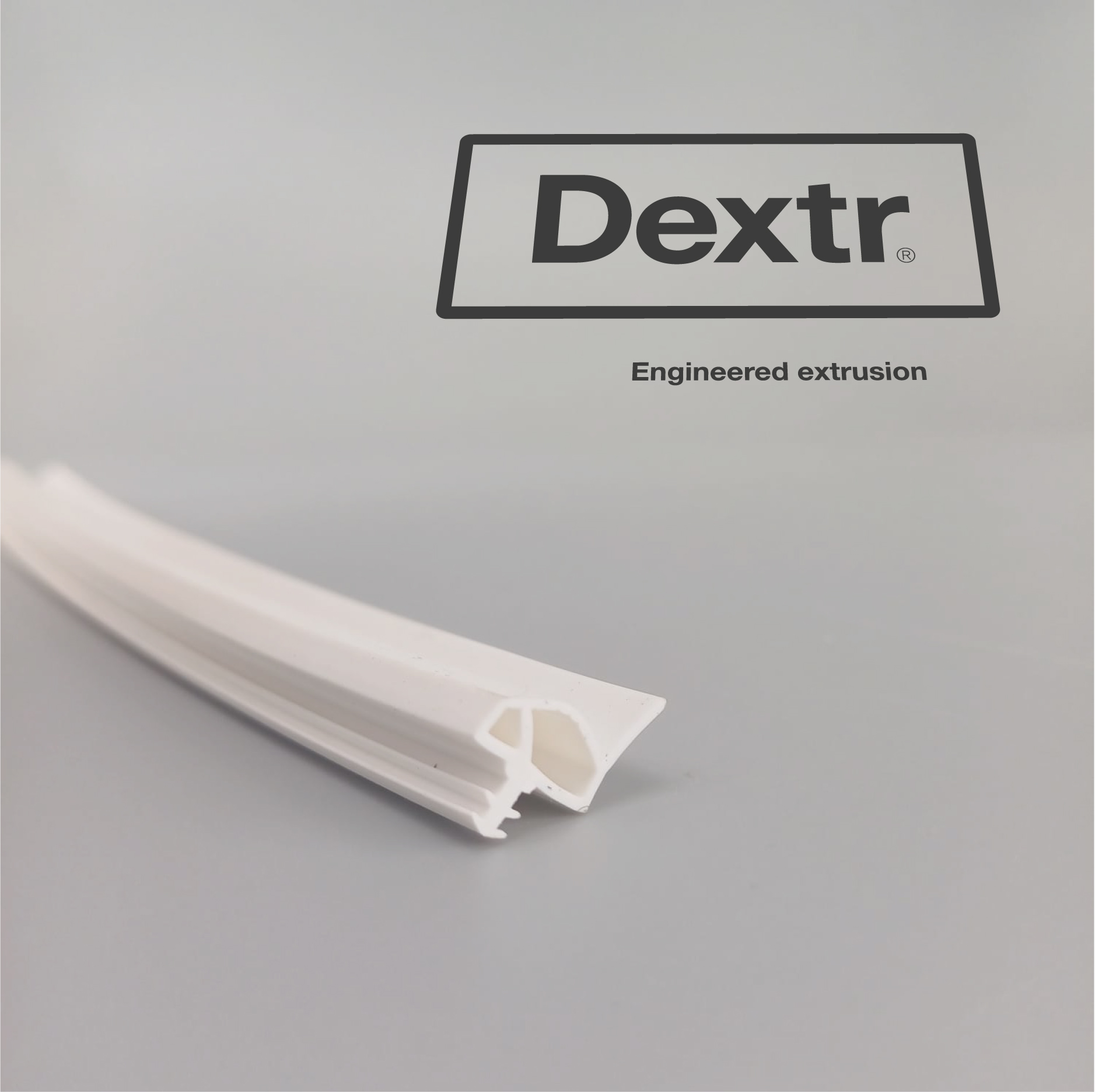 593_DX_-_Deurdichting_-_Dextr.jpg